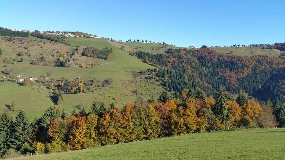 Piccolo Paradiso Foza Εξωτερικό φωτογραφία